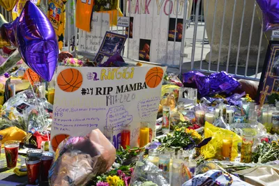 DSC_7132 (Large).JPG